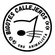 Bigotitos Callejeros